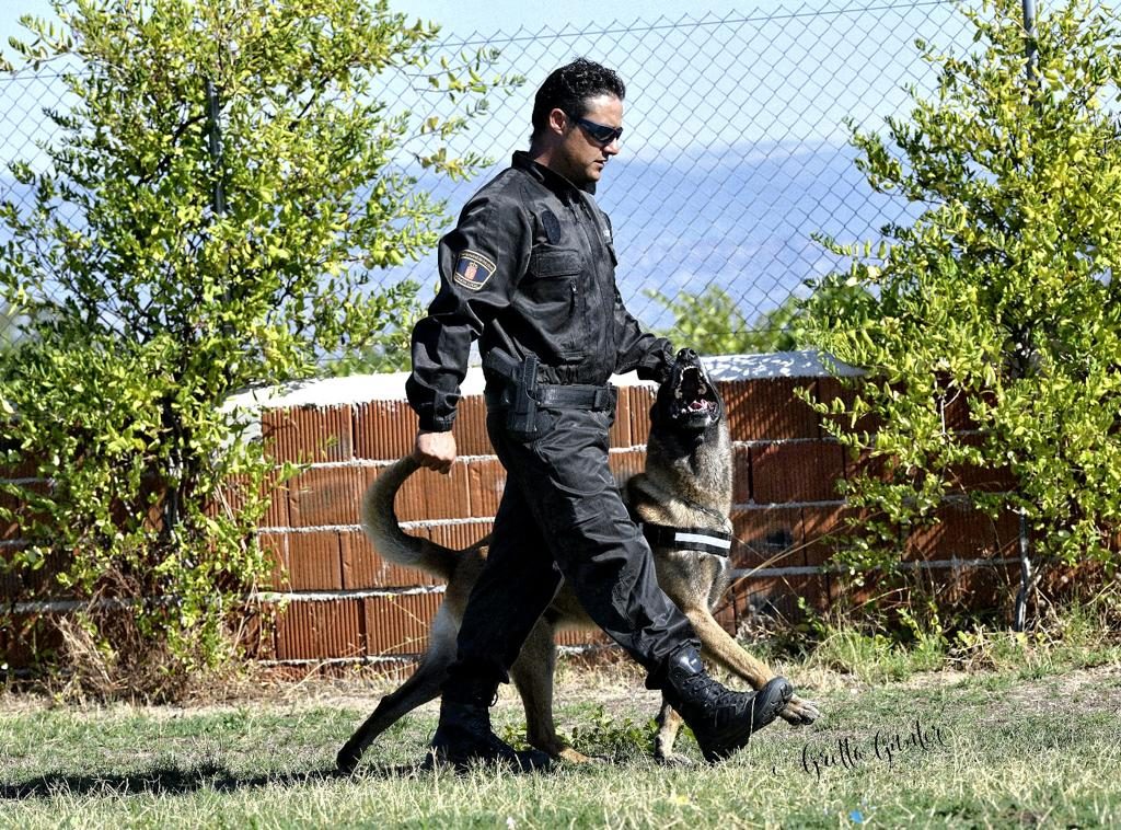 BASES ADIESTRAMIENTO CANINO PROFESIONAL + 3 MESES PRACTICAS